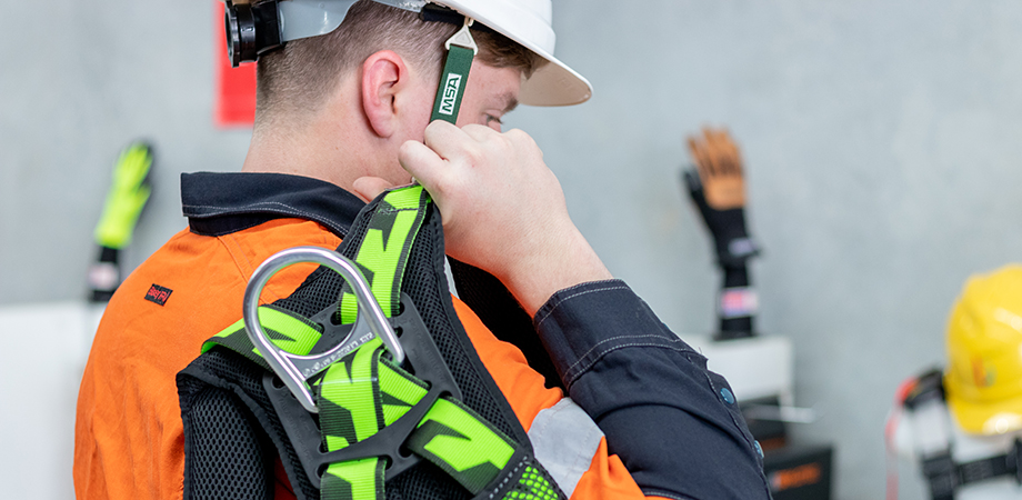 What to check before using your harness