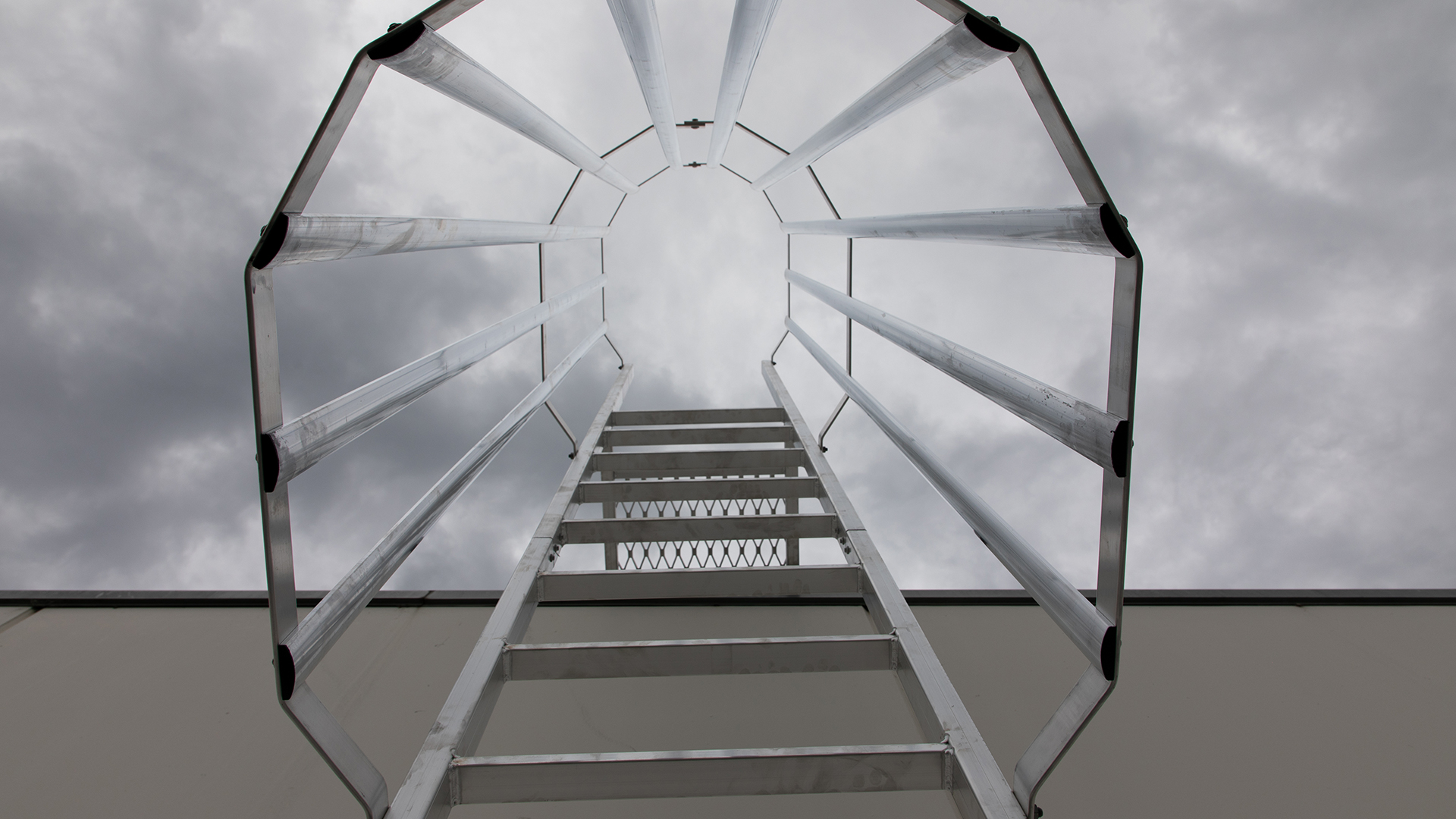 Ladder cages and vertical ladder lines: what and why